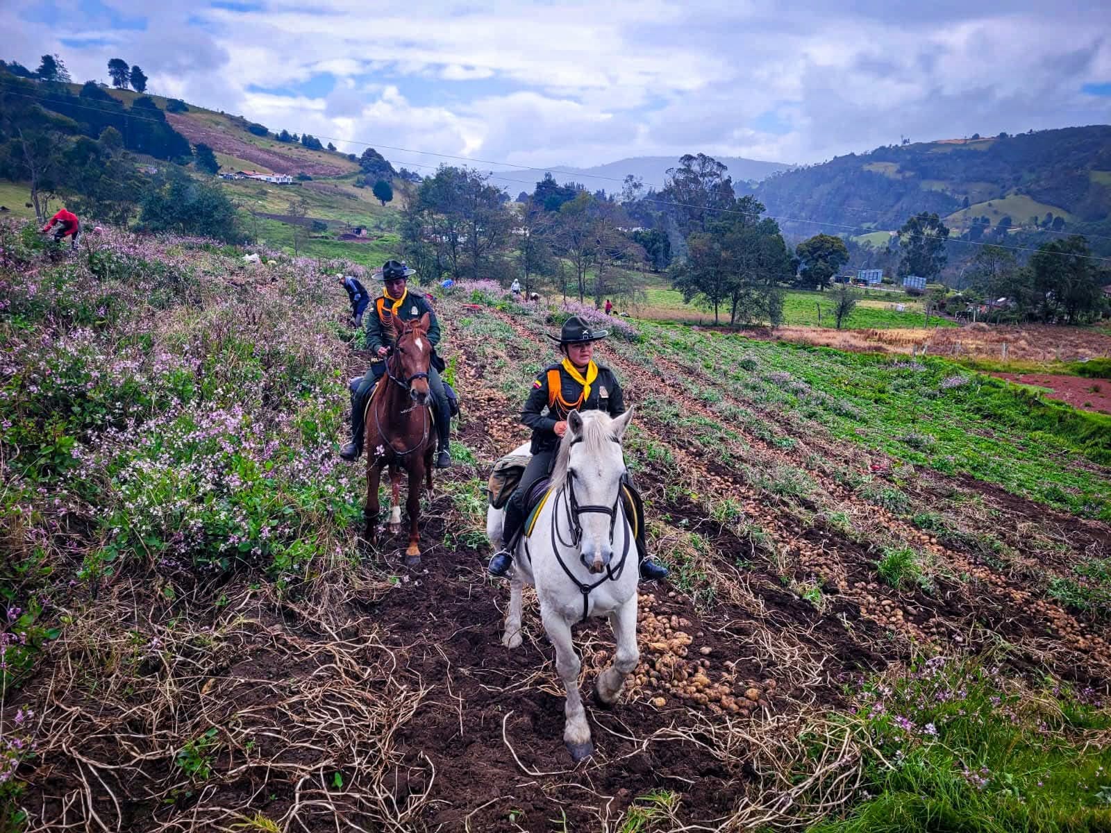 Los carabineros que recorren las veredas de Bolívar a lomo de caballo 1 0ca1bfa0 6a8f 479b 8e6c a964aa7f7599