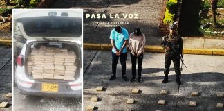 Golpe al narcotráfico en Piamonte: Ejército incauta 283 kilos de marihuana