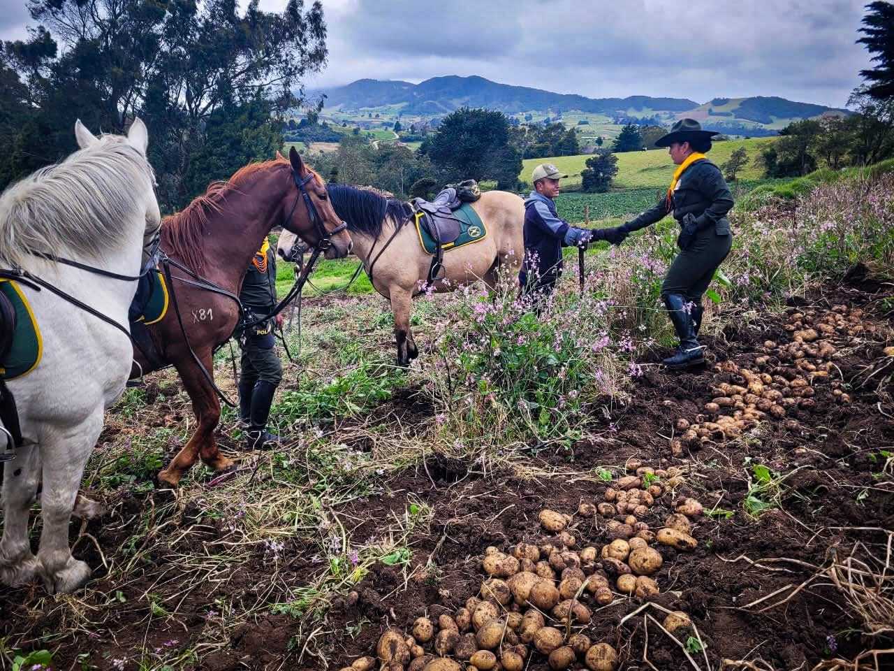 Los carabineros que recorren las veredas de Bolívar a lomo de caballo 4 1837dcea 2b4f 4676 9a16 46c885437315