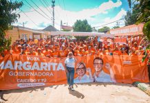 d8c411c8 0fdc 4827 862c 049fb6f9efb7