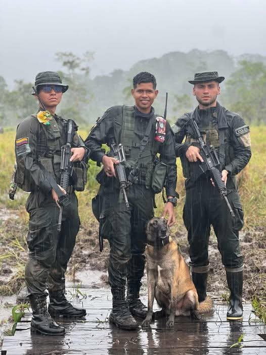 Navidad con Propósito: la labor de los policías que custodian la paz en el sur de Bolívar 9 72e34325 d191 4fee 82f1 90283a6e8185