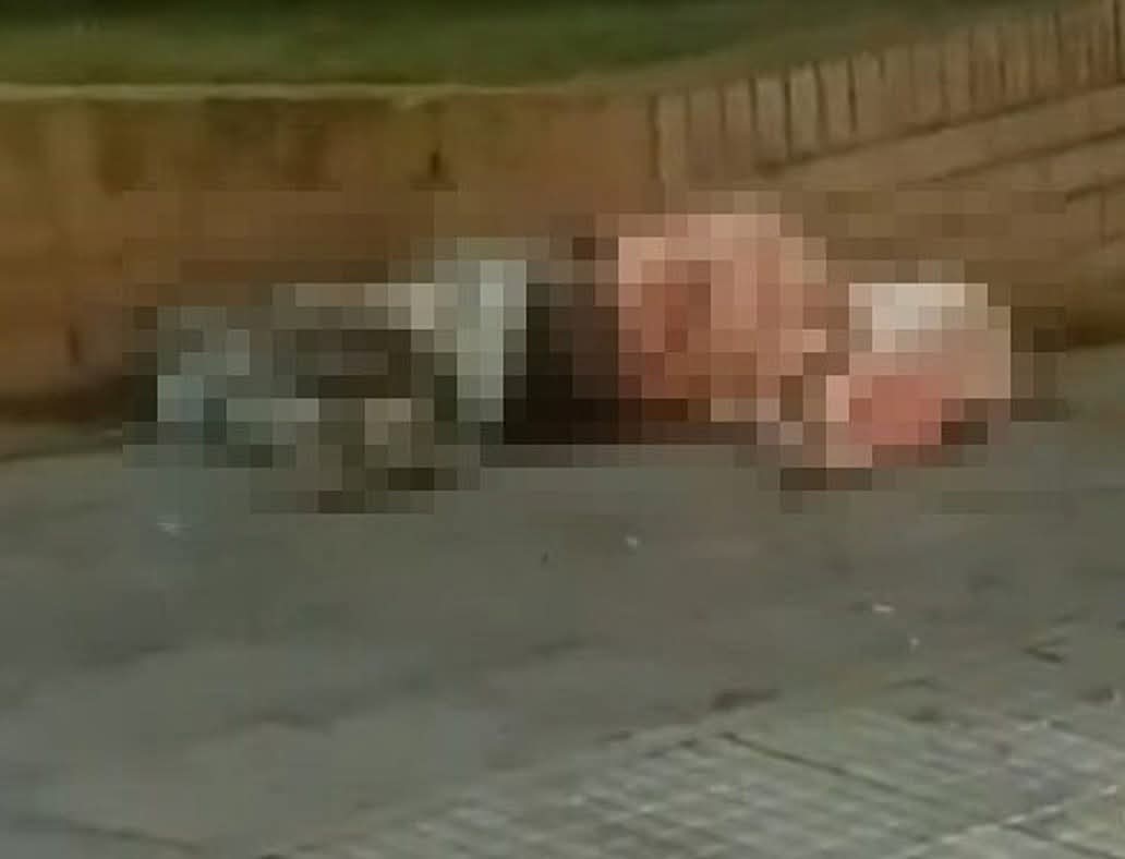 Barranquilla lamenta la muerte de la chef Lisette Malkun Zarur, referente de la cocina árabe 6 d68741bc e220 4cc7 b0e0 2569773f2342