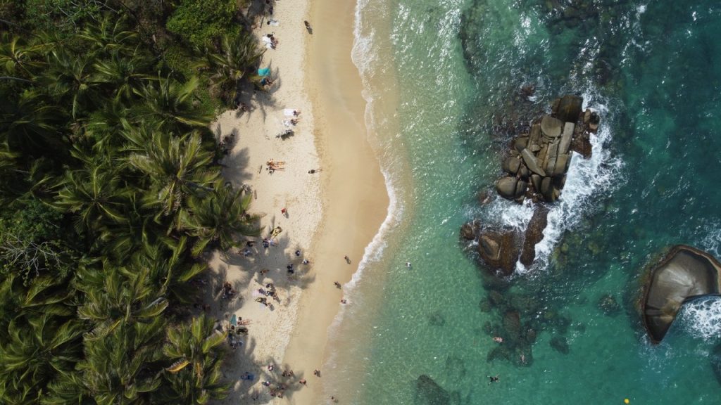 parquetayrona