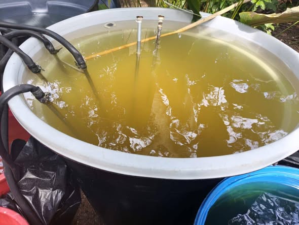 Ejército Nacional destruyó laboratorio para el procesamiento de clorhidrato de cocaína en el departamento del Cesar 4 641683943 1232852318999629 7977561333164691965 n