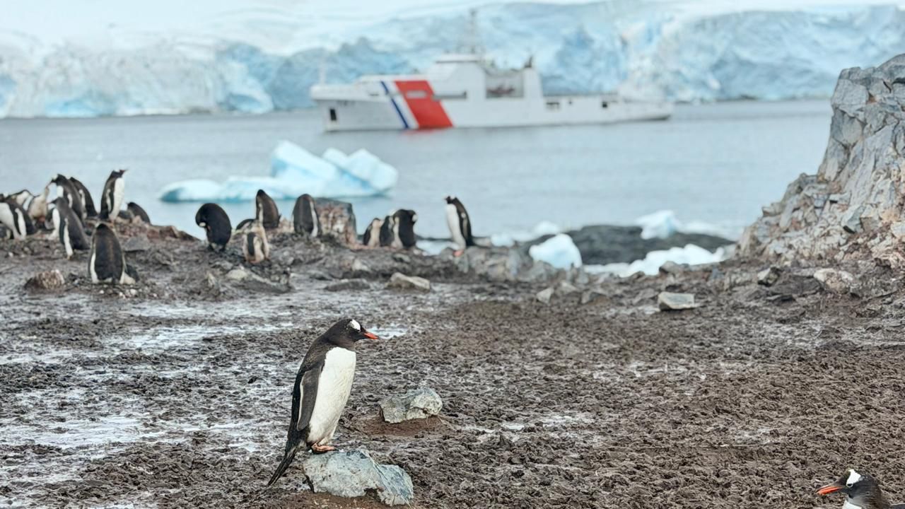 Colombia, Chile y Ecuador fortalecen la Cooperación Internacional en la Antártica 3 6cd68b10 caea 45d7 a8a3 6842b48e4375