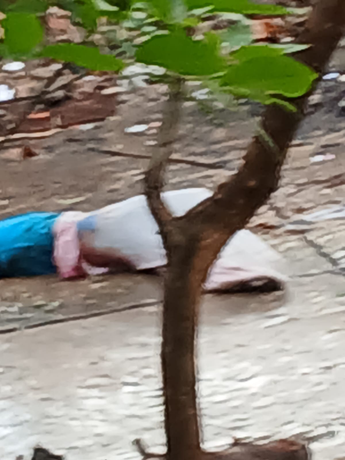 Mujer es encontrada muerta con heridas de bala en la vía Caracolí–Cordialidad 3 d32d1fd1 0e29 44f0 877b 39233ae7e5b9