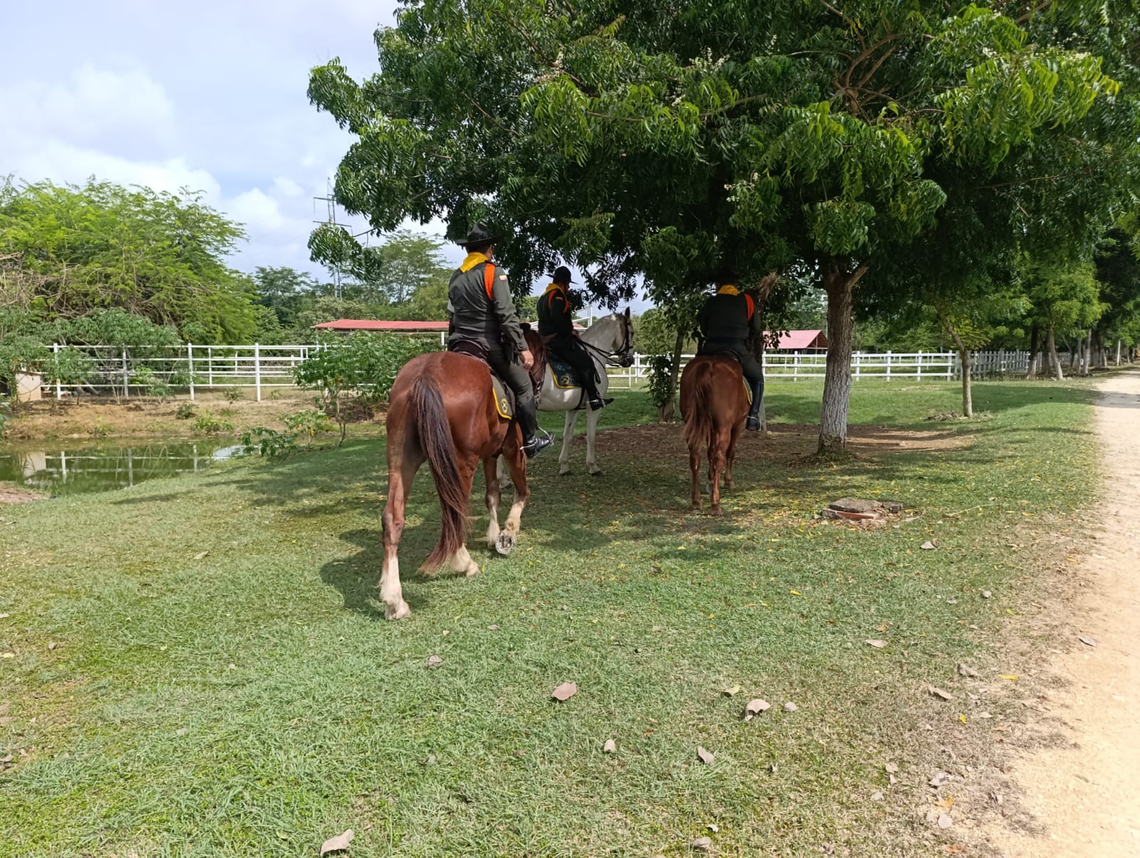 Policía de Bolívar patrulla a caballo para brindar seguridad en Arjona 2 dc46c498 dd5c 4052 b688 56d5566308e1