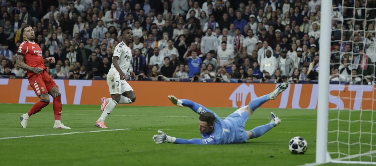 vinicius1 0