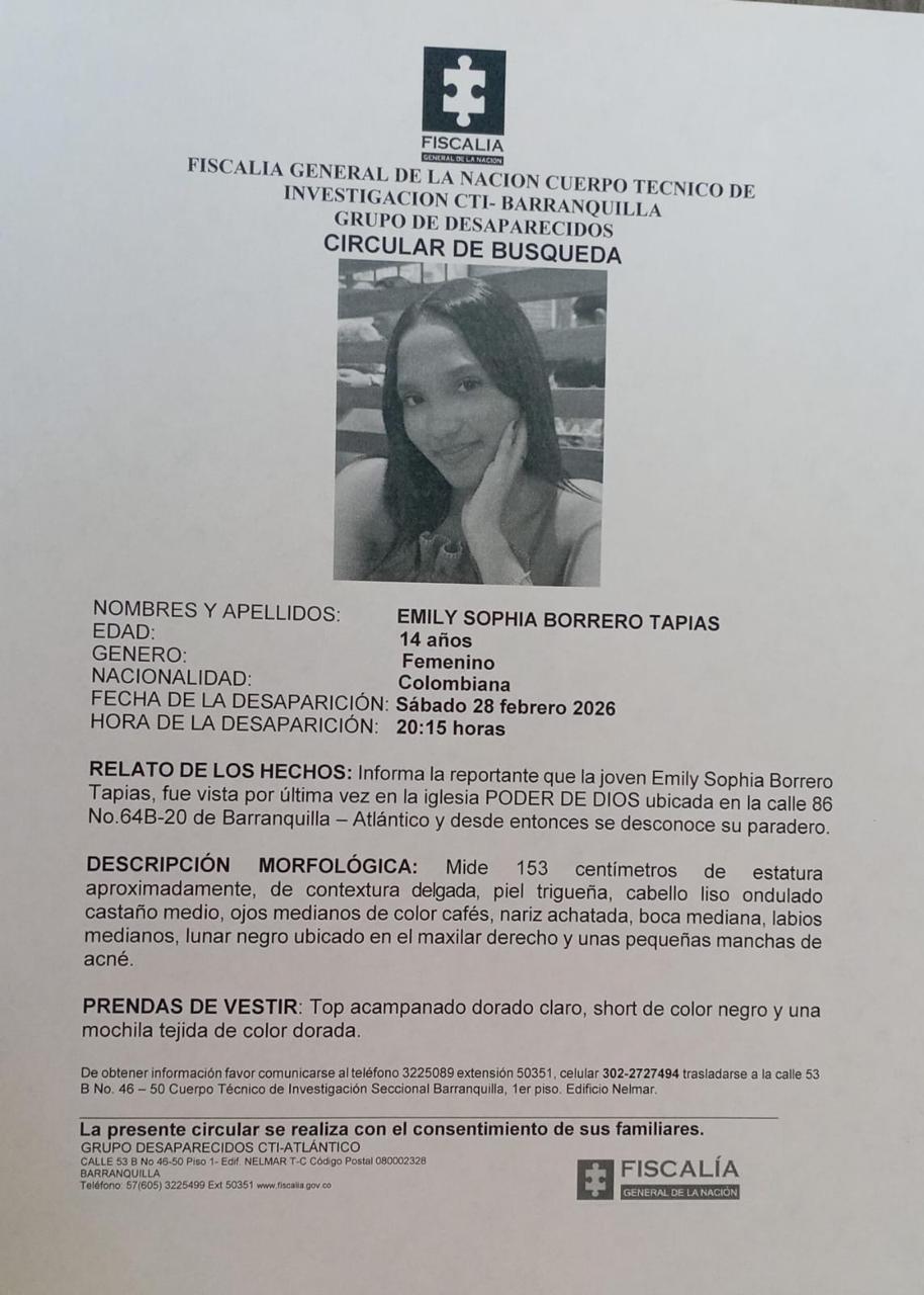 Desaparecida 0
