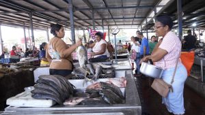 venta pescado