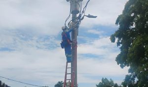 Air-e detectó 6 casos de hurto de energía en pescaderías en Barranquillita 1 04beafa3 ce5f 4f75 8643 192f9478e6a9