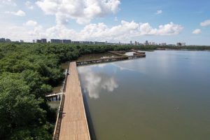 Ecoparque Ciénaga de Mallorquín, ejemplo de restauración ambiental en el Día de la Tierra 2 3bbe8d5a 68e9 4d68 a010 8fc34e74439e