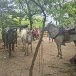 666702482 122131777209121274 1320447229587524628 n
