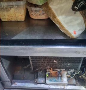Secretaría de Salud selló funcionamiento de restaurante en el aeropuerto Ernesto Cortissoz por riesgos sanitarios 4 Restaurante cerrado y las zonas de almacenamiento de alimentos 2