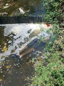 “Lo buscaban desde el martes”: hallan sin vida a joven de 19 años en arroyo de La Pradera, en Barranquilla 1 d1fe31cb e50f 4bce b4a1 0e9bdbbdd8da