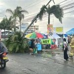 Accidente con Monster Truck en Popayán deja más de 20 heridos tras presunta falla en los frenos 5 686169659 1430088295799300 5435662962426104446 n