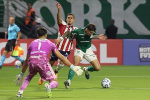 palmeiras5