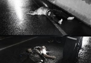 Fatal accidente de motocicleta en el Puente Pumarejo deja dos personas muertas 1 a1ce5b09 2079 4507 8414 d2f808debd86 3