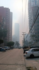 Alcaldía de Barranquilla emite recomendaciones de salud ante humareda por quemas en Isla Salamanca 6 0c1ca497 a2af 4be9 a259 99566e17e513