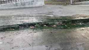 25b69dfa c71f 4c0b 9045 9302f67e909b