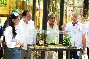 Milagro: una nueva esperanza para el paujil de pico azul 1 6723c4c6 0456 4470 8694 b5d6ac877b3a