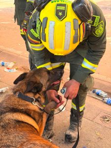 PONALSAR: los héroes que escarban entre los escombros para encontrar esperanza 4 913812d5 0ae8 4749 bc65 035bf05ee1a7