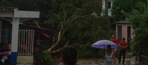 Chorrera 0