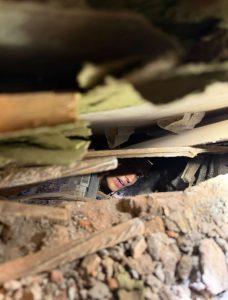 Rescatan con vida a Diana tras permanecer más de 24 horas bajo los escombros en Cali 2 Diana en los escombros