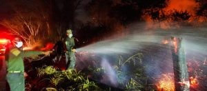 Incendios fuera de control y una sospecha que crece: autoridades hablan de “manos criminales” en Tolima y otras regiones 1 Incendio forestal 0