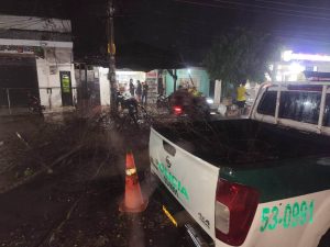 Fuerte vendaval causa daños en viviendas y derriba árboles en Orihueca, Zona Bananera 4 b0cd0a3c 6167 47f7 bde6 7b56340677f0