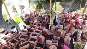 Golpe al narcotráfico: destruyen laboratorio que podía producir hasta 20 toneladas de cocaína al mes 3 c706d307 bf9a 4a00 8169 57bdaad377fd