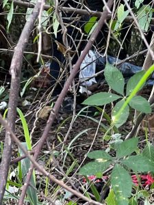 Investigan hallazgo de joven sin vida en una trocha del barrio El Concord, Malambo 3 e397eb50 f494 4792 bba4 920269a28c9f