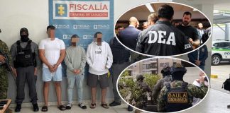 US$676.000 y 87 paquetes de cocaína: así cayó la red de siete extraditables en la Operación Castillo