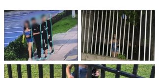 Cámaras captaron a presuntos apartamenteros en Villa Carolina y Río Alto: una mujer y su hija quedaron atrapadas durante el robo