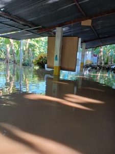 ¡Emergencia en Zona Bananera! Creciente del río Riofrío inunda fincas y amenaza a pequeños productores 6 862384744 1141514074879841 8228200396649088406 n