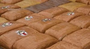Operación multinacional contra el narcotráfico: incautan 555 kilos de cocaína y capturan a tres personas 1 864553251 1763109751662768 3712373058527459 n