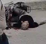 Asesinan a bala a un motociclista en el sector de Los Bloques, en la Ciudadela 20 de Julio 1 IMG 20261021 WA0092