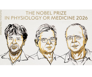 Nobel de Medicina 2026 premia a Deisseroth, Hegemann y Nagel por revolucionar el estudio del cerebro 1 Nobel