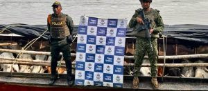 Parte de lo incautado en octubre